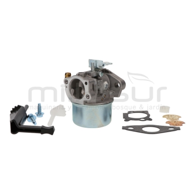 CARBURADOR B&amp;S SERIES 111XXX. 120XXX. 121XXX - motoscamaralweb.com