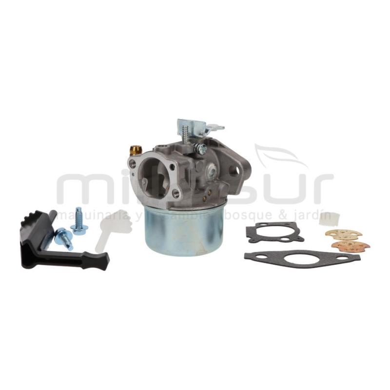 CARBURADOR B&amp;S SERIES 111XXX. 120XXX. 121XXX - motoscamaralweb.com