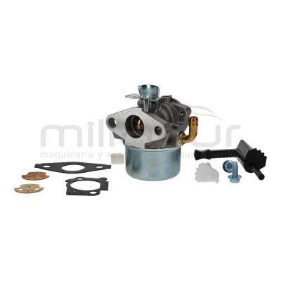 CARBURADOR B&amp;S SERIES 111XXX. 120XXX. 121XXX - motoscamaralweb.com