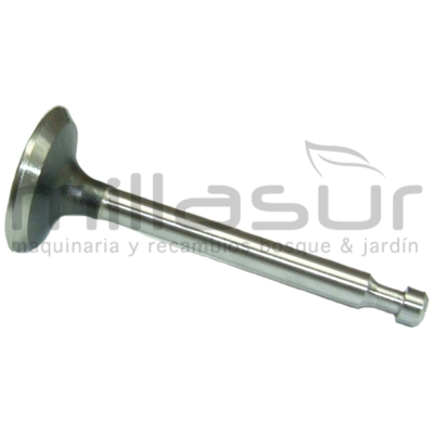 VÁLVULA ESCAPE HONDA GX110/120 - motoscamaralweb.com