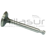 VÁLVULA ESCAPE HONDA GX110/120 - motoscamaralweb.com