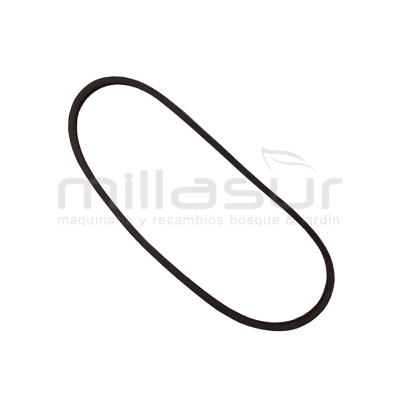 CORREA Z28 TRACCIÓN 10x707 (LI) ADAPTABLE A CASTEL GARDEN R534 TR. R534 TR-E. RL534 TR. RL534 TR-E ... - motoscamaralweb.com