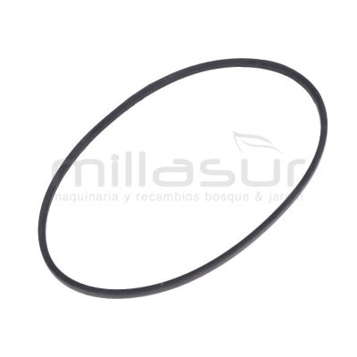 CORREA A-1041LI 1074LD 12.7x1041LI - motoscamaralweb.com