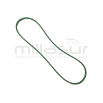 CORREA TRACCIÓN 9.5x1118 ADAPTABLE A AYP RIDER ... - motoscamaralweb.com