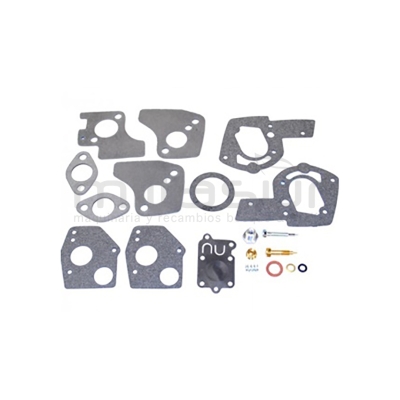 KIT REPARACIÓN COMPLETO CARBURADOR ADAPTABLE A BIGGS &amp; STRATTON 5 HP VERTICAL - motoscamaralweb.com