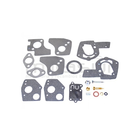 KIT REPARACIÓN COMPLETO CARBURADOR ADAPTABLE A BIGGS &amp; STRATTON 5 HP VERTICAL - motoscamaralweb.com