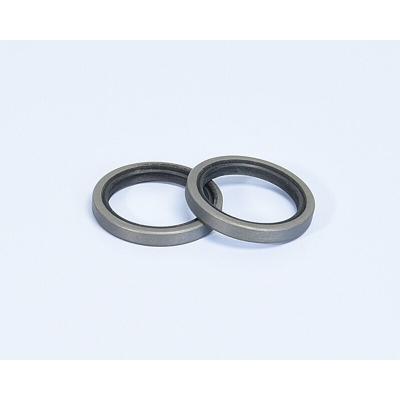 RETENES Variador Polini YAMAHA-HONDA (242041)- motoscamaralweb.com