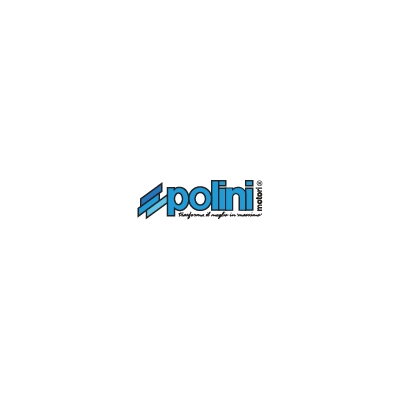 Platillo Polini GUIARODILLOS HONDA SH125 (952036)- motoscamaralweb.com