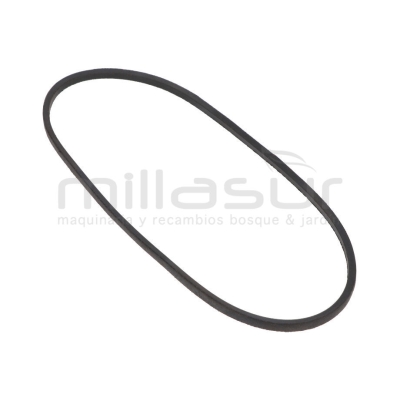 CORREA Z31.5 TRACCIÓN 10x800 (LI) ADAPTABLE A AS-MOTOR AS21. AS27. AS45 - motoscamaralweb.com