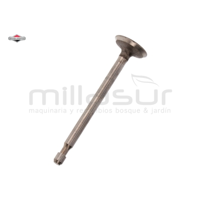 VÁLVULA ESCAPE - motoscamaralweb.com