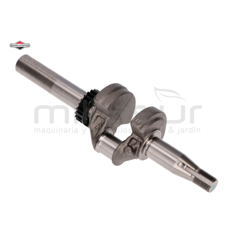 CIGÜEÑAL - motoscamaralweb.com