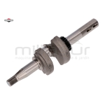 CIGÜEÑAL - motoscamaralweb.com