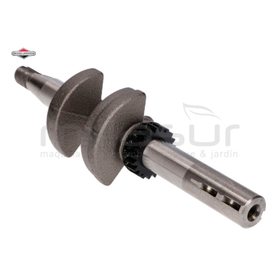 CIGÜEÑAL - motoscamaralweb.com