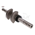 CIGÜEÑAL - motoscamaralweb.com