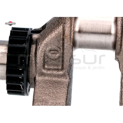 CIGÜEÑAL - motoscamaralweb.com