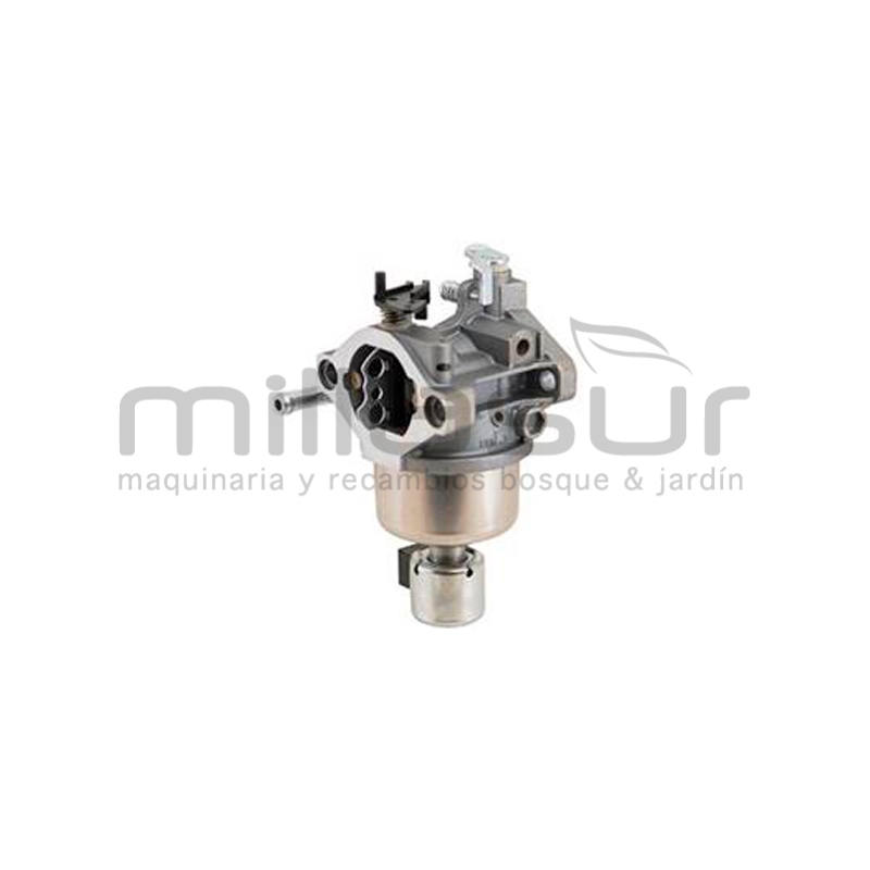CARBURADOR - SUSTITUYE A 591731 794572 - motoscamaralweb.com