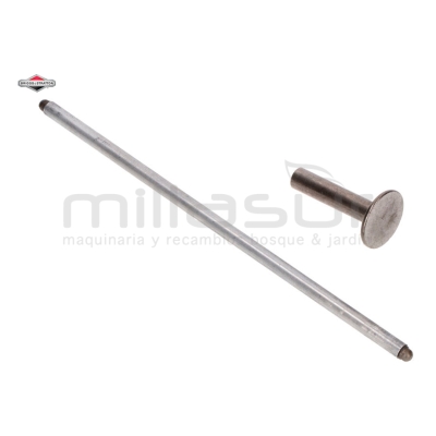 VARILLA - motoscamaralweb.com