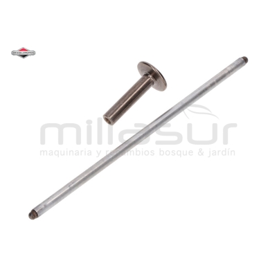 VARILLA - motoscamaralweb.com