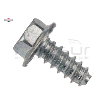 TORNILLO DE SALIDA ESCAPE - motoscamaralweb.com