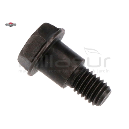 TORNILLO - motoscamaralweb.com