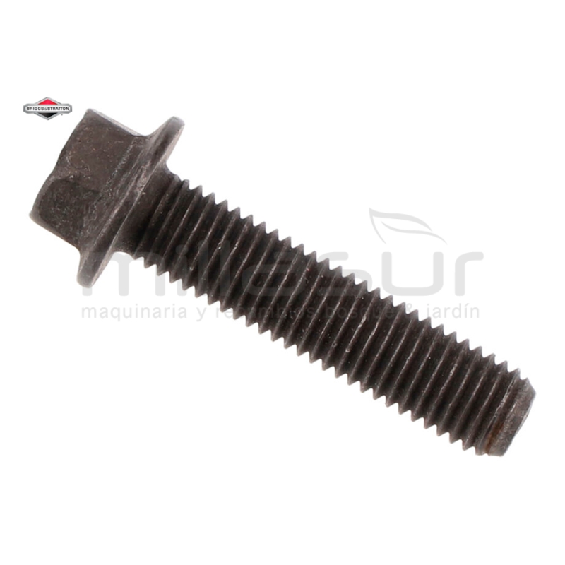 TORNILLO - motoscamaralweb.com