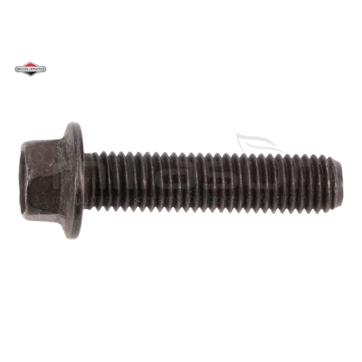 TORNILLO - motoscamaralweb.com