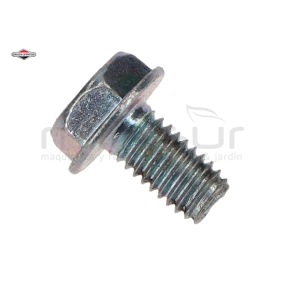 TORNILLO - motoscamaralweb.com