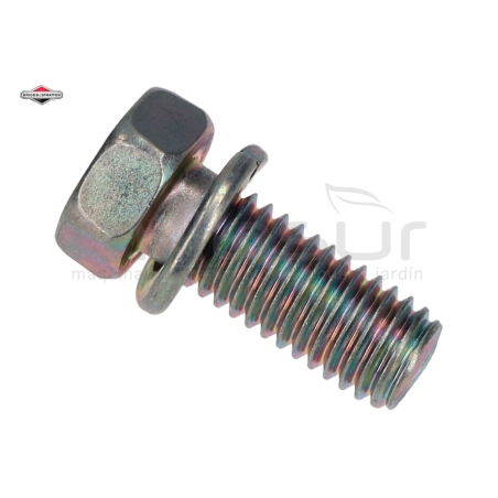 TORNILLO - motoscamaralweb.com