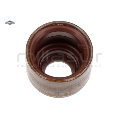 RETÉN VÁLVULA - motoscamaralweb.com