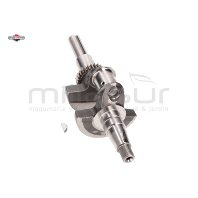 CIGÜEÑAL - motoscamaralweb.com