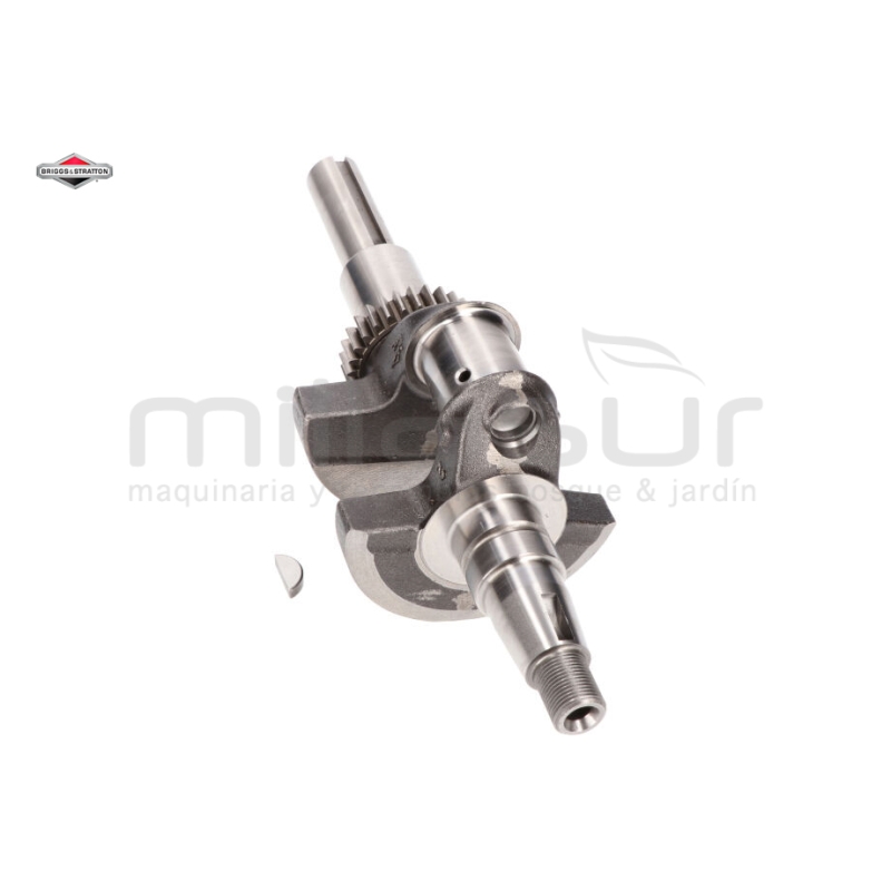 CIGÜEÑAL - motoscamaralweb.com