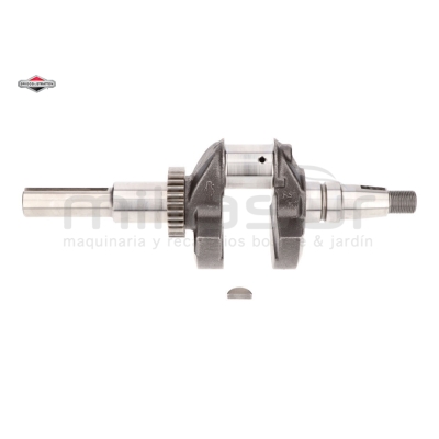 CIGÜEÑAL - motoscamaralweb.com