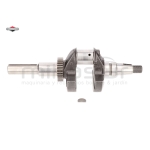 CIGÜEÑAL - motoscamaralweb.com