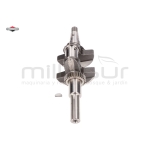 CIGÜEÑAL - motoscamaralweb.com