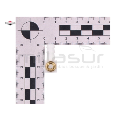 CONECTOR - motoscamaralweb.com