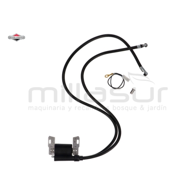 BOBINA - sustituye 394891 - motoscamaralweb.com