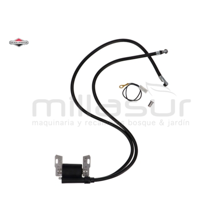 BOBINA - sustituye 394891 - motoscamaralweb.com