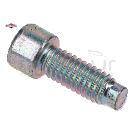 TORNILLO 796201 - motoscamaralweb.com