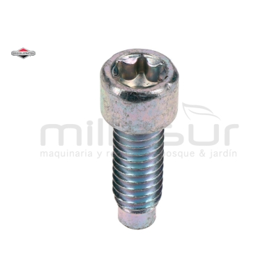 TORNILLO 796201 - motoscamaralweb.com