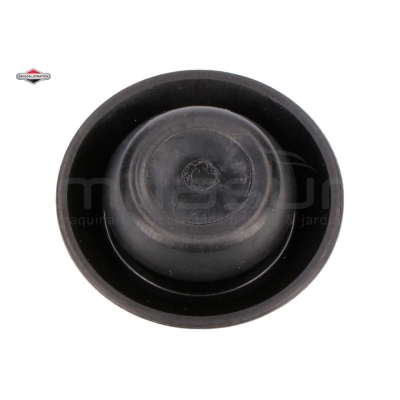 TAPON - motoscamaralweb.com