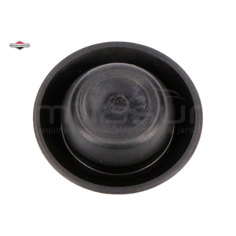 TAPON - motoscamaralweb.com