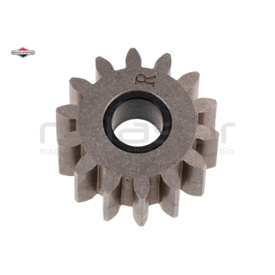 PIÑON DERECHA - motoscamaralweb.com