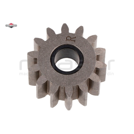 PIÑON DERECHA - motoscamaralweb.com