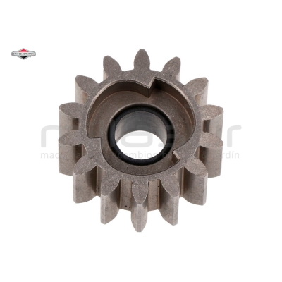 PIÑON DERECHA - motoscamaralweb.com