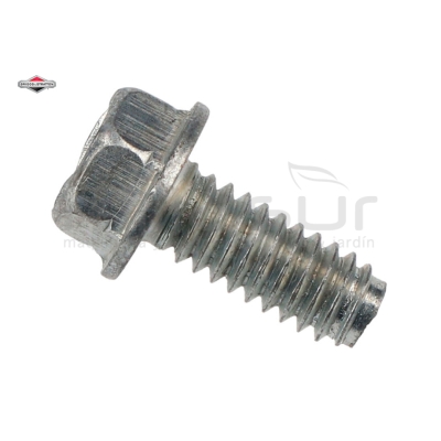 TORNILLO - motoscamaralweb.com