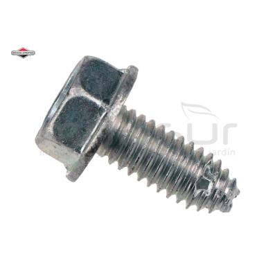 TORNILLO - motoscamaralweb.com