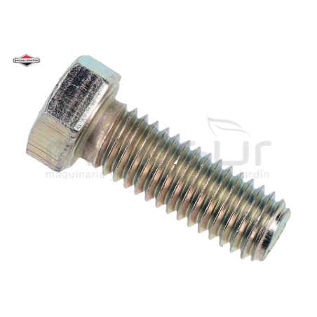 TORNILLO EZT20500(923471) (2923471) - motoscamaralweb.com