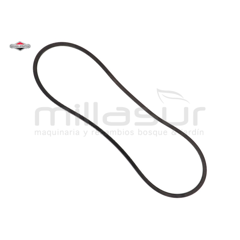 CORREA - motoscamaralweb.com