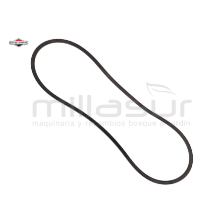 CORREA - motoscamaralweb.com