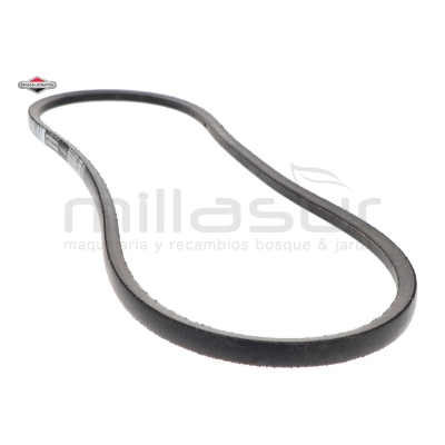 CORREA - motoscamaralweb.com